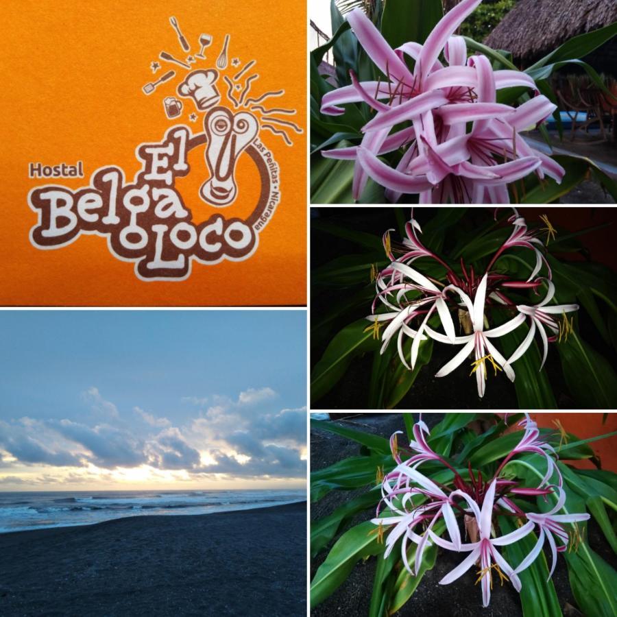 Отель El Belga Loco Лас-Пеньитас Экстерьер фото